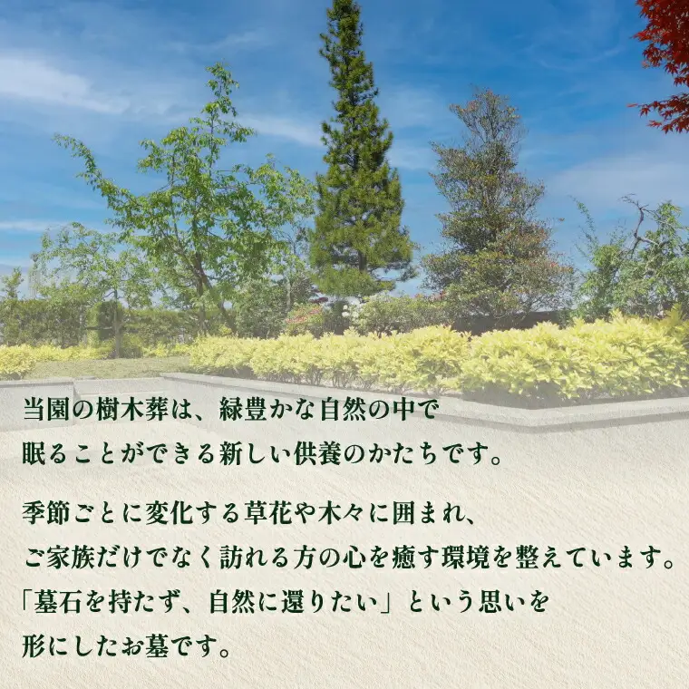 樹木葬 興福院平和公園 永代管理 樹木葬