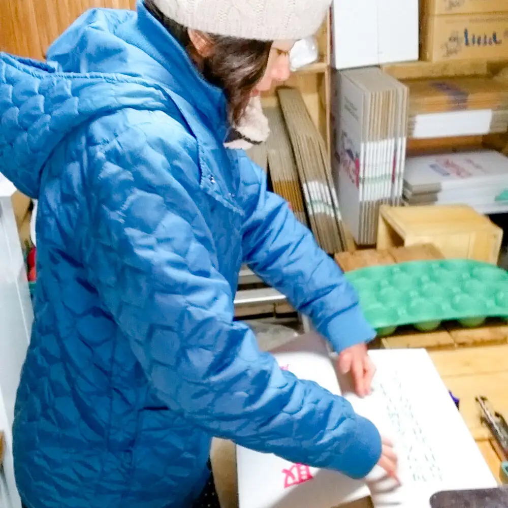 【26年12月中旬～発送】りんご サンふじ【贈答用】約10kg 先行受付 しらかみラボ 青森県 弘前市 果物 フルーツ 林檎 リンゴ くだもの ギフト 贈り物