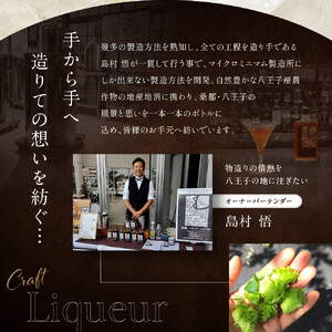 The Gin Masters 2025金賞【八王子クラフトリキュール】【日本遺産認定商品】　翠靄~sui-ai~ wet Gin 40% 500ml 
