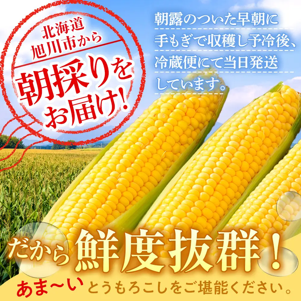 地元テレビで紹介!【先行予約】糖度18～19度! 北海道旭川産朝採れスイートコーン約5kg (2026年8月中旬発送開始予定) | とうもろこし _05256