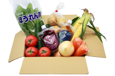 AJ313 野菜セット 5～7品目 しそジュース付き