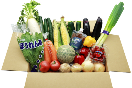 AJ315 季節の野菜・果物セット 13～15品 しそジュース付き