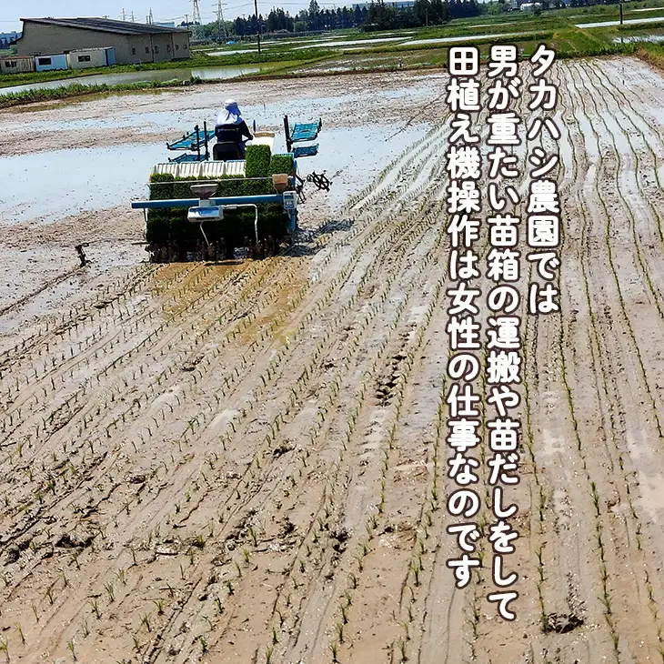 【数量限定】【厳選プレミアム極】新米 白米 銀河のしずく米 10kg 【2320】