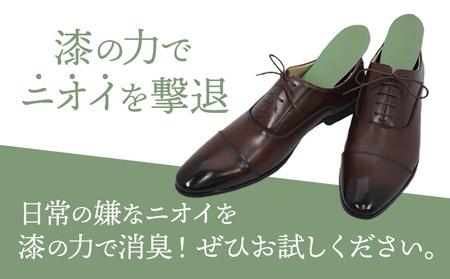 インソール 消臭 漆Ｉder A 桃 あらい有限会社《30日以内に発送予定(土日祝除く)》 靴 消臭 漆 長持ち インソール 