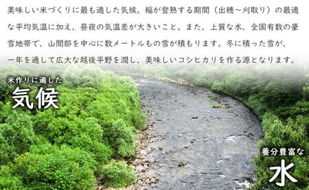 有機栽培米新潟産コシヒカリ5kg　毎月3回連続でお届けします。 米 お米 こめ コメ ごはん 新潟 白米 コシヒカリ ブランド米 銘柄米 お取り寄せ 産地直送