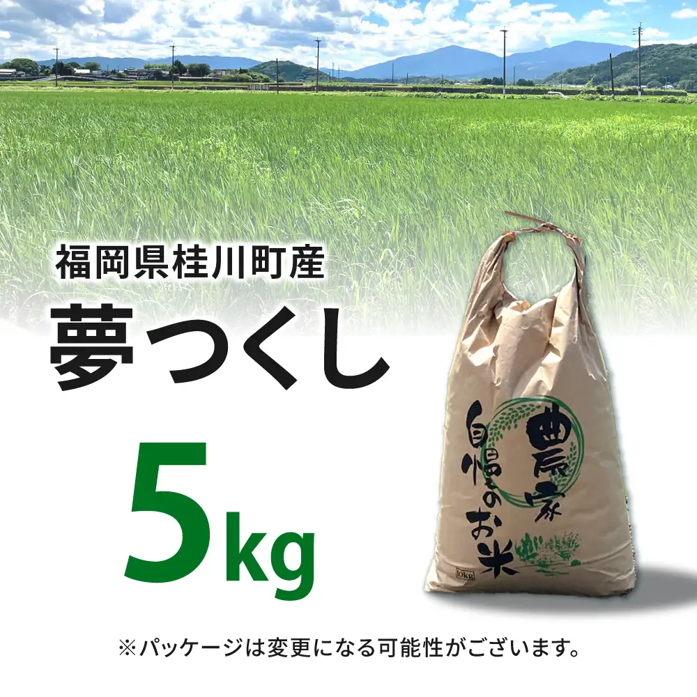 福岡県桂川町産夢つくし 白米5kg [ADBB006] 米 精米 福岡