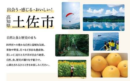 【先行予約】 全国第2位受賞 / 糖度8度以上 高知県土佐市の濃厚フルーツトマト約1.6kg(800g×2箱） /家族みんなで楽しむ高知県土佐市の味〈2027年1月下旬から順次発送〉高知県 土佐市【ファーム輝】 [BQBM004]