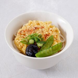 うどんセット さぬき小豆島 手延冷凍調理 4種 うどんセット【4食 カレー・えび天・きつね・かきあげ】【冷凍】
