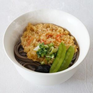 そばセット さぬき小豆島 手延冷凍調理 3種 そばセット【6食 えび天・きつね・かきあげ各2】【冷凍】
