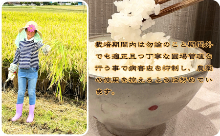 定期便 令和8年産 新米 京都丹波産 キヌヒカリ 5kg×6回 計30kg 白米 精米