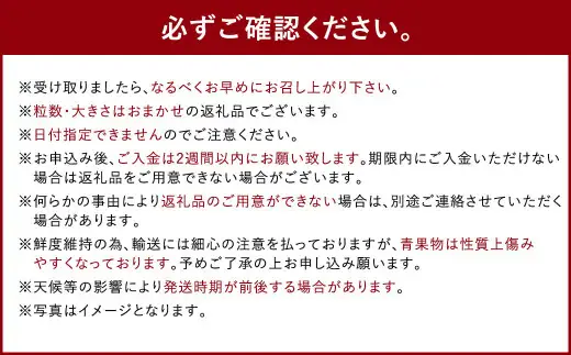 いちごの王様 あまおう 約260g×4パック 約1040g【2027年3月上旬-4月上旬発送予定】 いちご イチゴ 苺 フルーツ