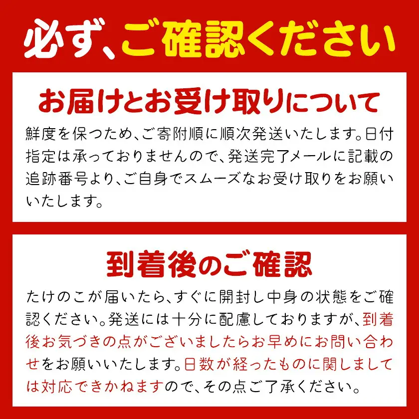 【先行受付】やさい畑の朝堀りたけのこ 2.5kg予約 《3月中旬-4月中旬頃出荷》 熊本県 南関町産 春 筍