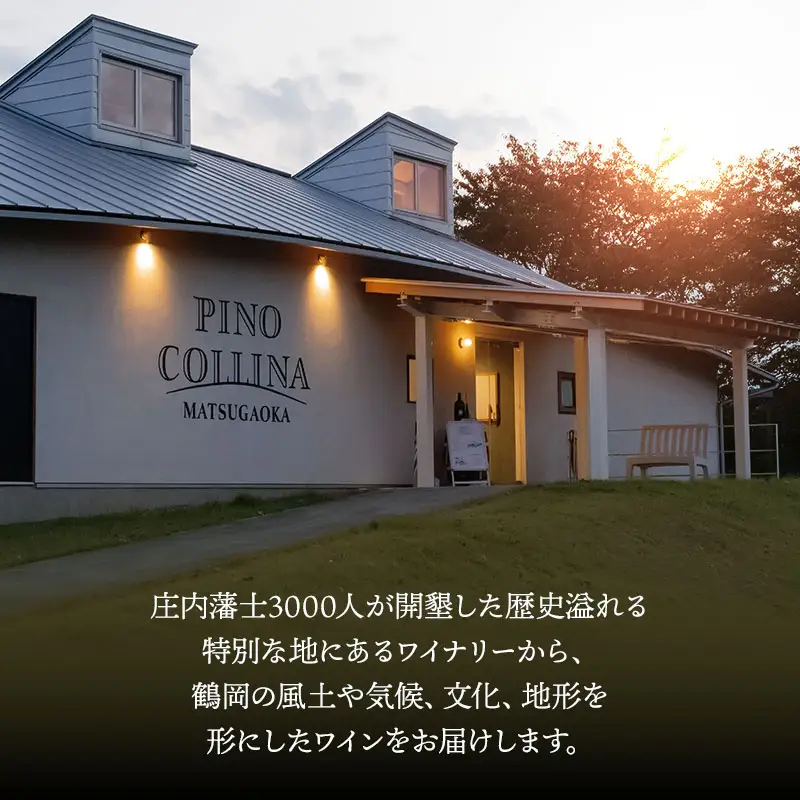 白ワイン　鶴岡甲州　古木／2025　750ml×1本　株式会社エルサン 国産 日本ワイン 