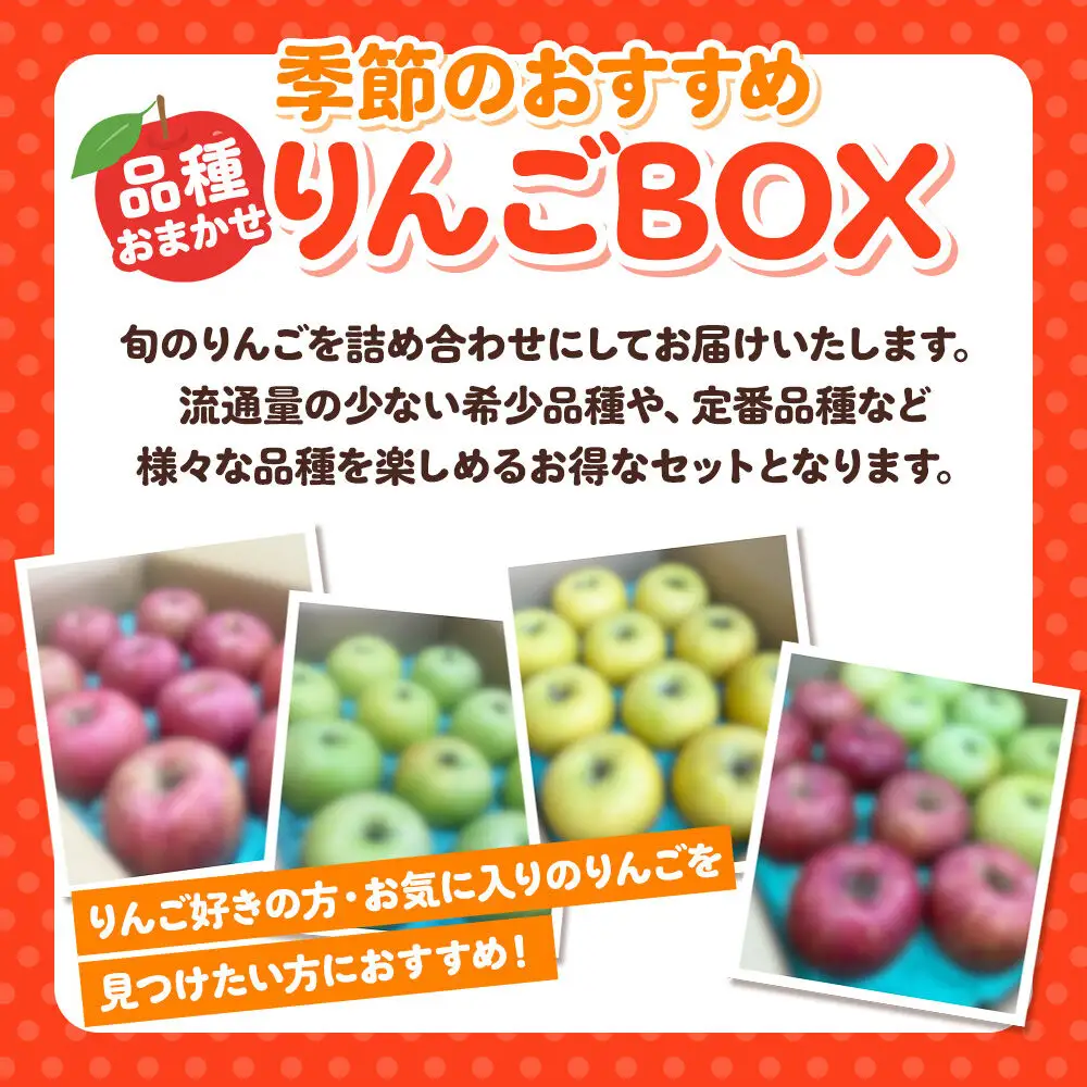 りんご 季節のおすすめBOX 家庭用 約3kg 9月発送 りんご