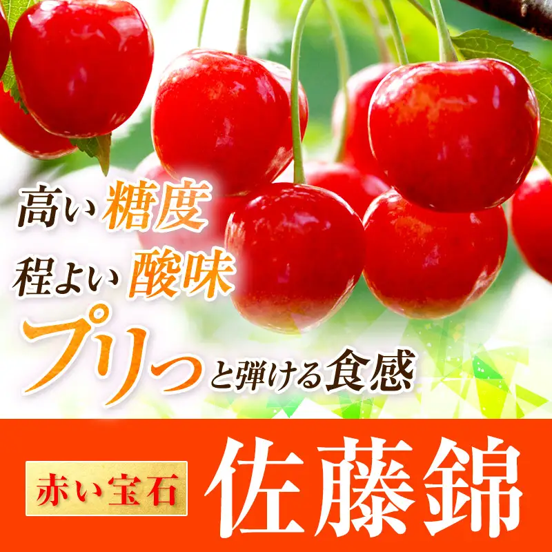 さくらんぼ 700g 佐藤錦 ML以上 サクランボ
