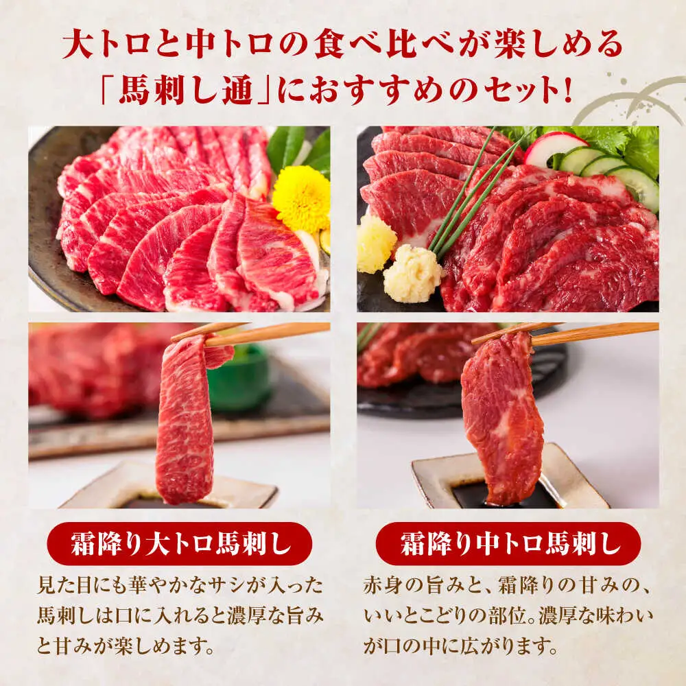 令和8年熊本地震復興支援 国産 霜降り馬刺し2種セット 約500g 馬刺し[AYBP005]