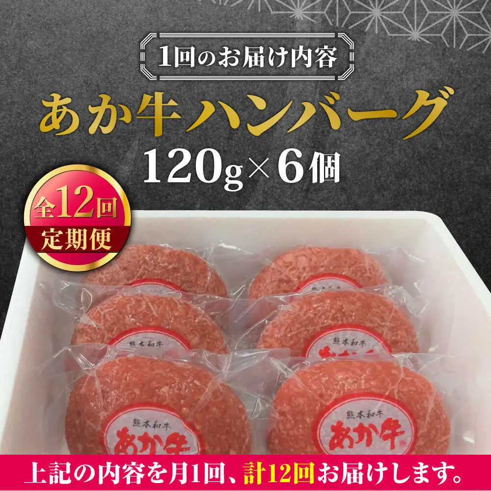 【全12回定期便】あか牛 100％ハンバーグ 約120g×6個 ハンバーグ[AYCQ085]
