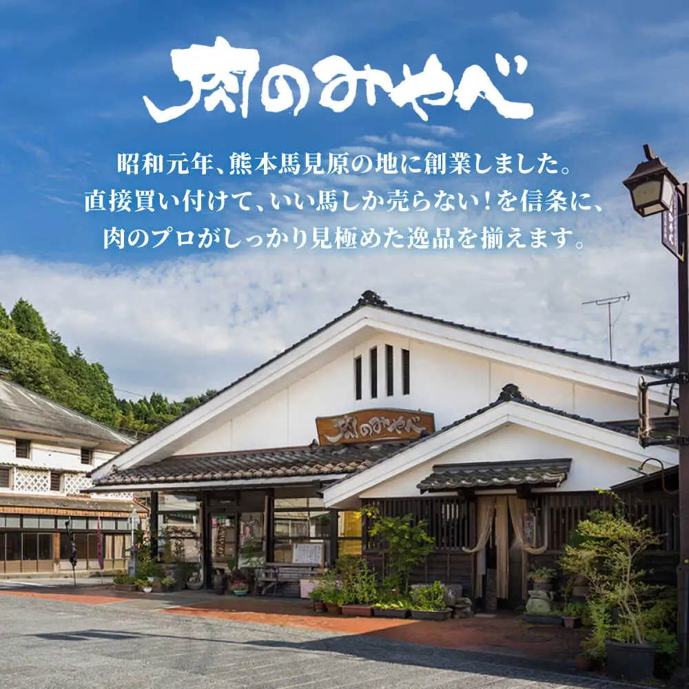 【全6回定期便】熊本肥育 馬刺し 赤身 約600g 馬刺し[AYDM011]