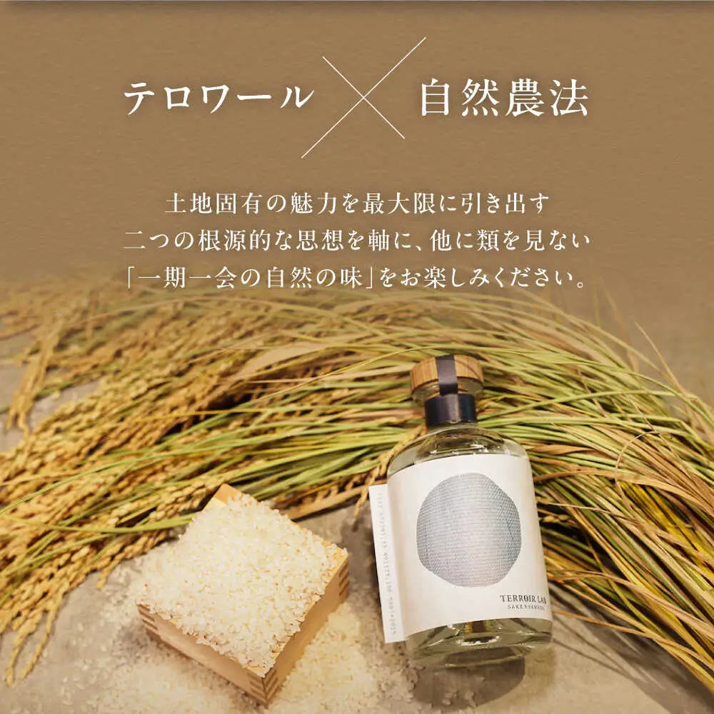 日本酒 大洲・神南乃酒(かんなんのさけ) 375ml×3本 日本酒 [AGDU003]