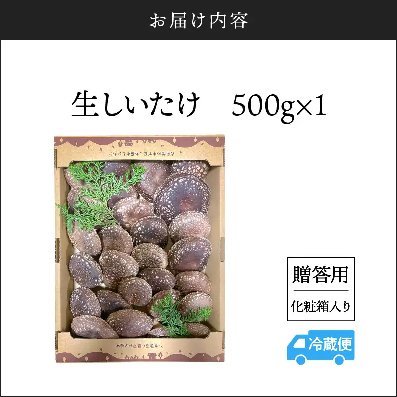 鹿児島 原木 生 しいたけ 約 500g K205-001