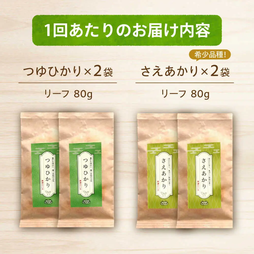 【3回定期便】煎茶 リーフセット 【つゆひかり・さえあかり】 各2袋 お茶 煎茶 国産 セット 岐阜 白川町 / 健康農園[AWBW005]