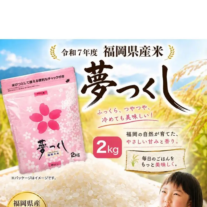 【定期便 年6回】おいしかぁ～便 詰め合わせセット 6ヶ月 お楽しみ ファミリーセット 家族用 野菜 やさい 米 新鮮 新鮮野菜 家庭用 新鮮 福岡県 大刀洗町
