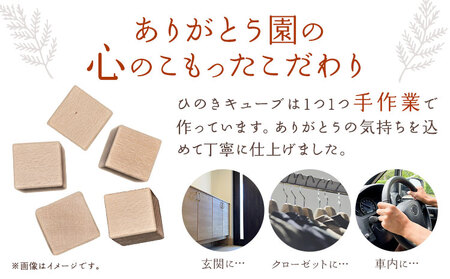 ひのきキューブ君 キーホルダー イニシャル刻印入り 1個 ありがとう園《60日以内に出荷予定(土日祝除く)》岡山県 矢掛町 ヒノキ 桧 ウッド 木製 手作り 香り リラックス エコ 送料無料