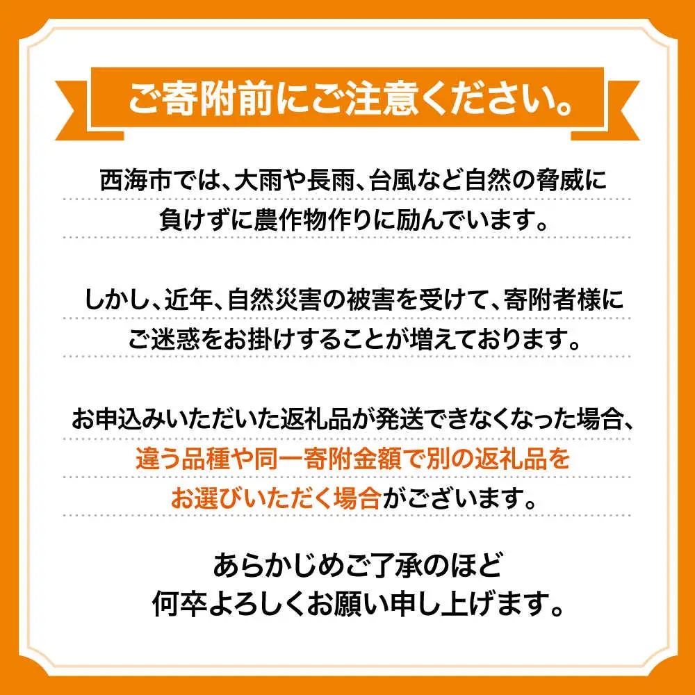 【11月中旬より配送開始】 原口みかん 約5kg （S,Mサイズ混合）＜濱崎ファーム＞ [CGT002] みかん