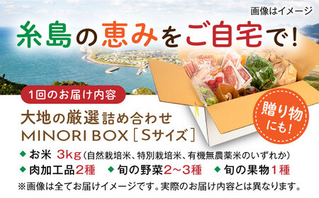 【全6回定期便】糸島産 肉 米 野菜 果物 厳選詰め合わせ MINORI BOX Sサイズ 糸島市 / emma.Inc / 米 肉 野菜 果物 詰め合わせ[AOP009]