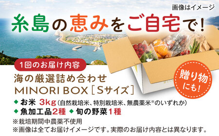 【全6回定期便】糸島産 魚 米 野菜 果物 厳選詰め合わせ MINORI BOX Sサイズ 糸島市 / emma.Inc / 米 魚 野菜 詰め合わせ[AOP021]