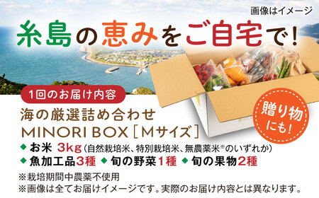 【全3回定期便】糸島産 魚 米 野菜 果物 厳選詰め合わせ MINORI BOX Mサイズ 糸島市 / emma.Inc / 米 魚 野菜 果物 詰め合わせ[AOP024]