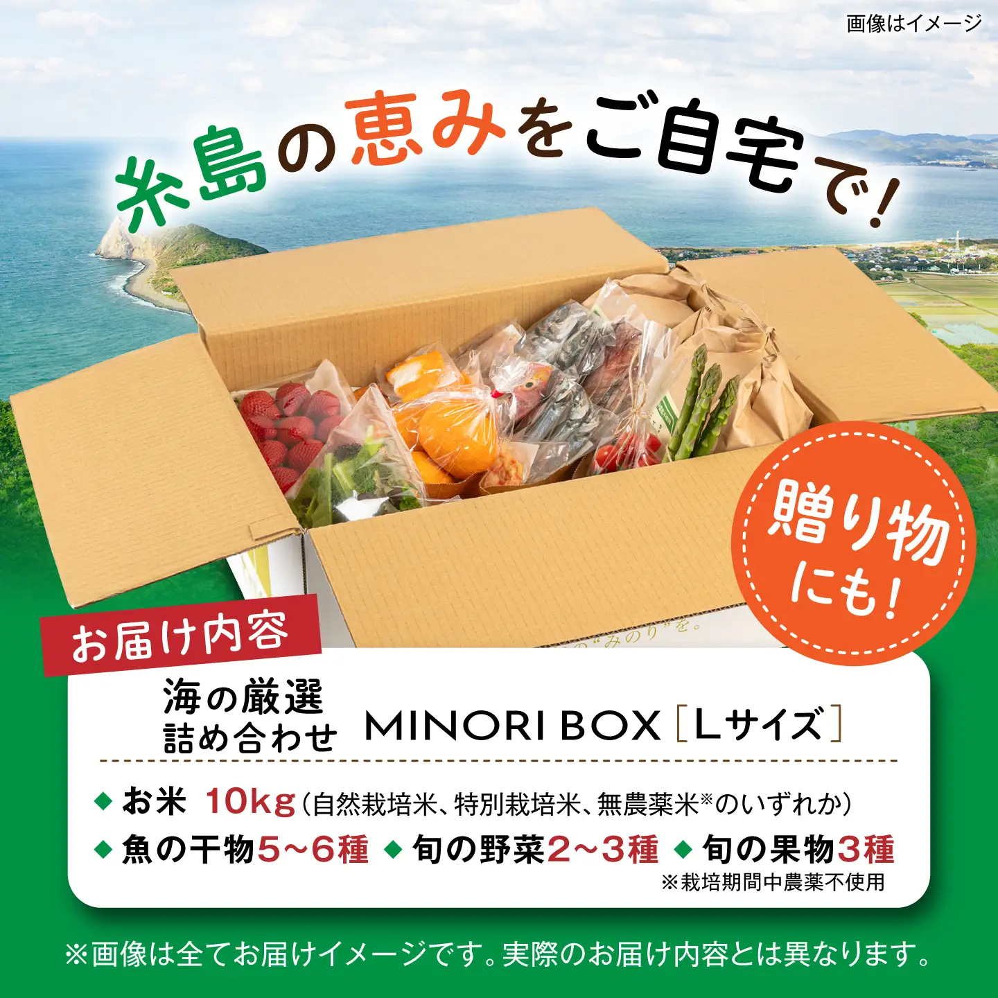糸島産 魚 米 野菜 果物 厳選詰め合わせ MINORI BOX Lサイズ 糸島市 / emma.Inc / 米 魚 野菜 果物 詰め合わせ[AOP027]