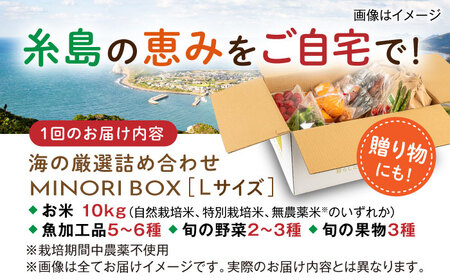 【全3回定期便】糸島産 魚 米 野菜 果物 厳選詰め合わせ MINORI BOX Lサイズ 糸島市 / emma.Inc / 米 魚 野菜 果物 詰め合わせ[AOP028]