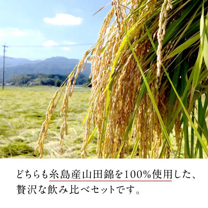 【全6回定期便】【蔵屋・白糸酒造コラボ】 蔵屋SPECIAL / 白糸55 純米吟醸 飲み比べセット 720ml×2本 糸島市 / 蔵屋 [AUA042]