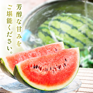 選び抜いた！小玉すいか ピノガール 2L 2玉《先行予約》2027年6月上旬頃から順次発送予定【 配送不可地域：北海道・沖縄・離島】【1246】