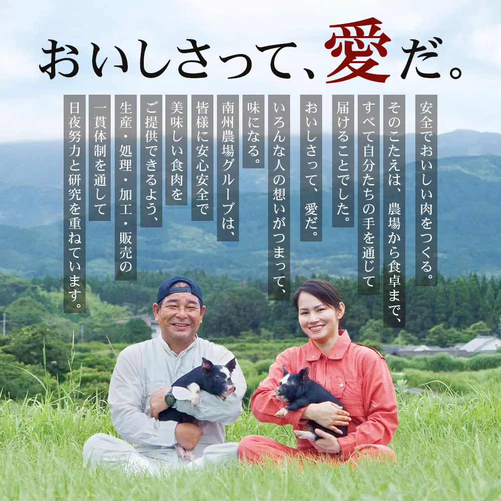 ≪全3回≫ 鹿児島県産 黒毛和牛 ◆ 贅沢 ステーキ 定期便 ◆ 南州黒牛 NS-27 ｜ 国産 牛 黒毛和牛 うし 牛肉 ロース サシ やわらかい 冷凍 ステーキ 肉定期便 定期便 鹿児島県 南大隅町 南州農場