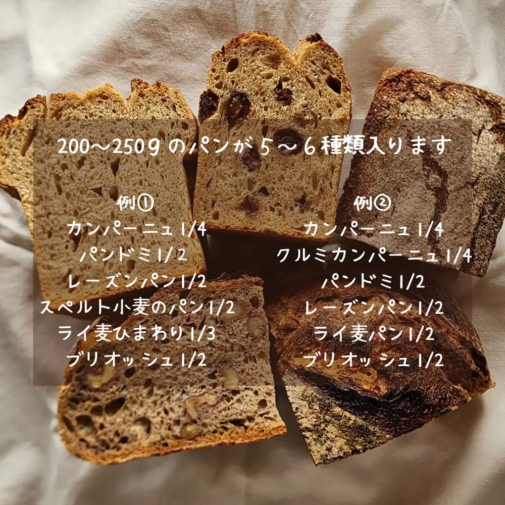【国産有機小麦と自然栽培小麦・ライ麦使用】素材を味わうパンセット ／ パン 国産小麦 自然栽培 小麦 ライ麦 天然酵母 ルヴァン種 国産素材 自家製粉 自家製ルヴァン種 パンセット 詰め合わせ 食べ比べ お取り寄せグルメ 大阪府 No.348