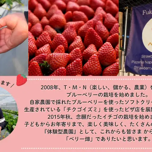 いちご 『先行予約』【2027年1月下旬以降お届け】 天使のいちご 白いちご 280g×4p 計4パック 1120g フルーツ いちご 苺 イチゴ 果物 デザート 福岡県 小郡市 福田ファーム ※配送不可：沖縄、離島