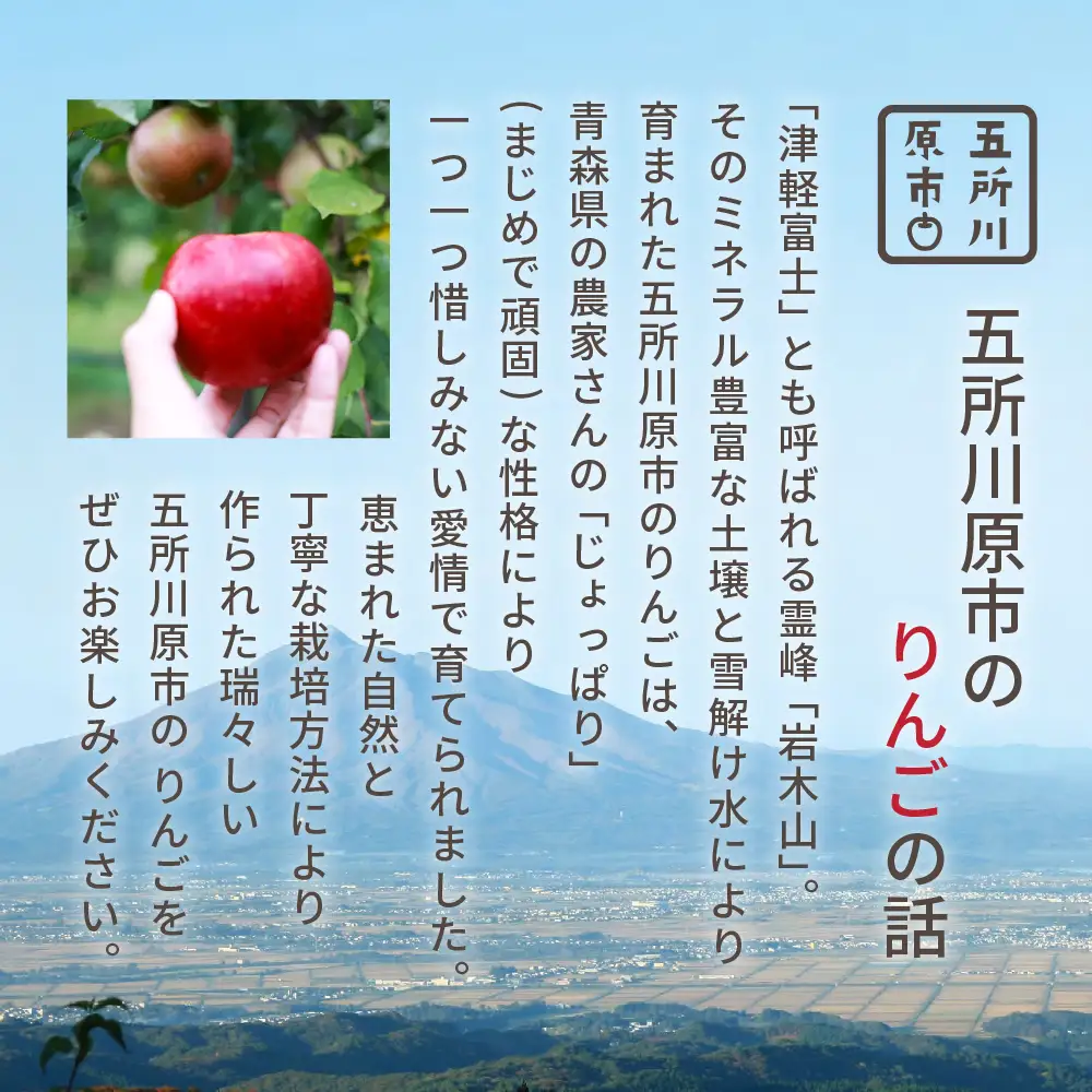 【2026年11月上旬発送】【特選】りんご 約5kg サンふじ 青森 五所川原