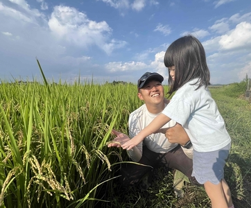 令和7年度産　栃木県産にじのきらめき 精米10kg　栃木県共通返礼品｜米 コメ 地域おこし協力隊