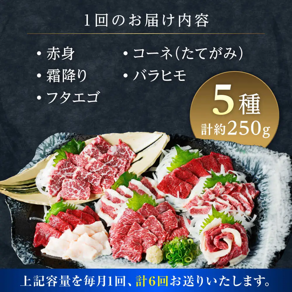 【全6回定期便】馬刺し 5種 盛り合わせセット 5人前 約250g 馬刺し[AYAT024]