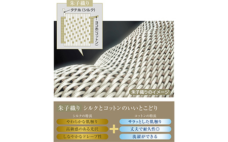 「毎日シルクに包まれて眠りたい」【中わた 富岡産シルク100％】 ハーフケット（ハーフサイズ） シャンパンゴールド シルク 絹 贈り物 ギフト 国産 F21E-444