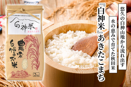 日本酒・米 セット白神米 あきたこまち 秋田県産 2kg【白米】令和7年産 日本酒 純米大吟醸「滝みこし」720ml