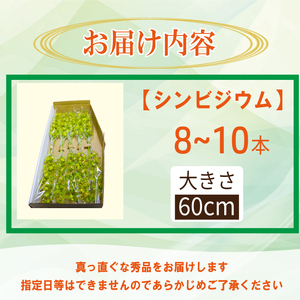 【2026年11月順次発送】 洋蘭 シンビジウム 8～10本 生花 お花 花 シンビジューム 秀品 徳島県 小松島市