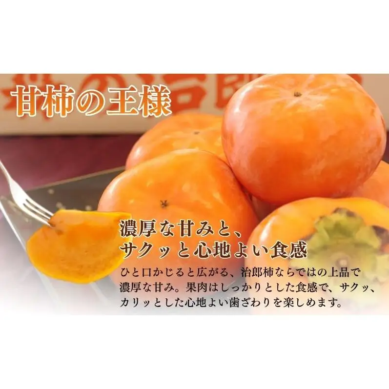 遠州森町産治郎柿 10玉～12玉 化粧箱入り 柿 くだもの 果物 フルーツ 甘柿 皇室献上 治郎柿 ブランド 滑らか 上品 コク 甘柿の王様 森町 静岡県 次郎柿