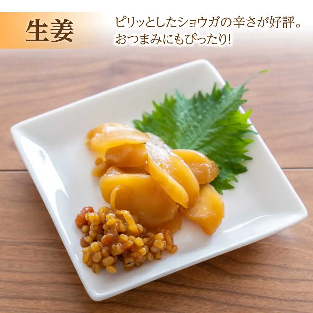 茄子 の 宝漬 （こうじ漬 詰合）800g / 漬物 ご飯のおとも 茄子 きゅうり 生姜 大根 / 南島原市 / 大平食品[SAK004]