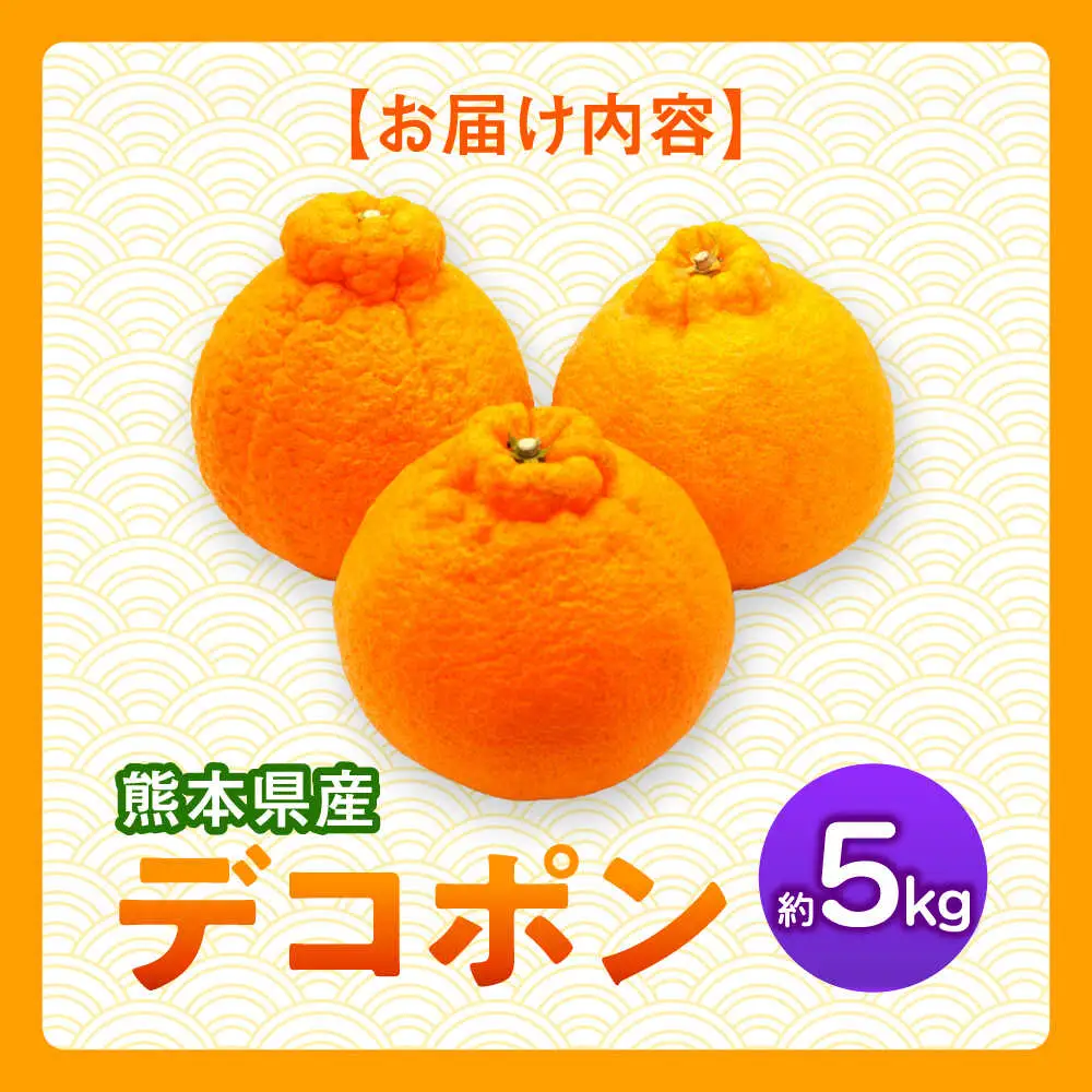 【先行予約】デコポン　約5kg 柑橘 みかん 蜜柑 熊本 フルーツ 果物 【日本フルーツ株式会社】[ZFJ034]