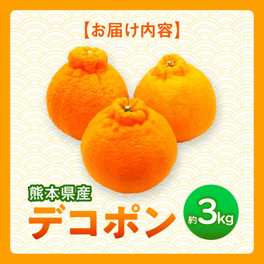 【先行予約】デコポン　約3kg 柑橘 みかん 蜜柑 熊本 フルーツ 果物 【日本フルーツ株式会社】[ZFJ033]