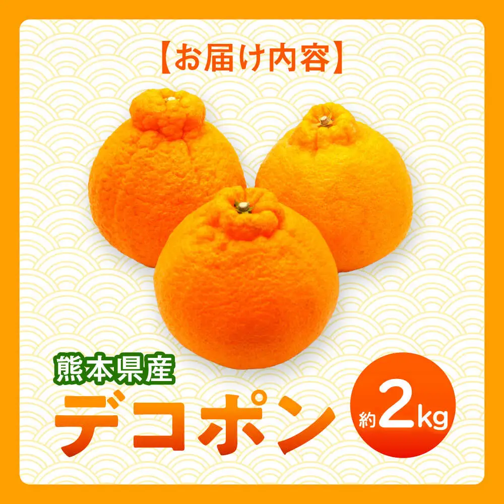 【先行予約】デコポン　約2kg 柑橘 みかん 蜜柑 熊本 フルーツ 果物 【日本フルーツ株式会社】[ZFJ032]