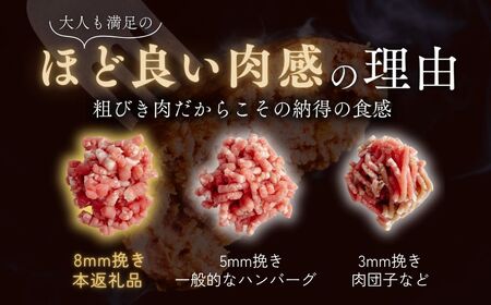 【定期便3回】本格デミグラス ハンバーグ 180g×12個 計2.1kg